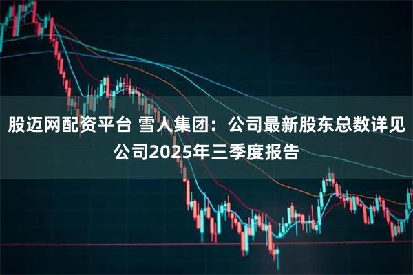 股迈网配资平台 雪人集团：公司最新股东总数详见公司2025年三季度报告