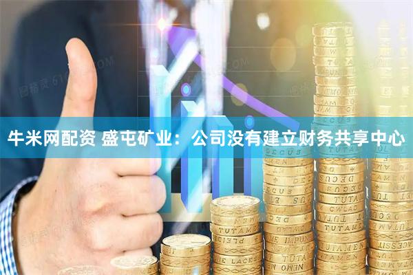 牛米网配资 盛屯矿业：公司没有建立财务共享中心