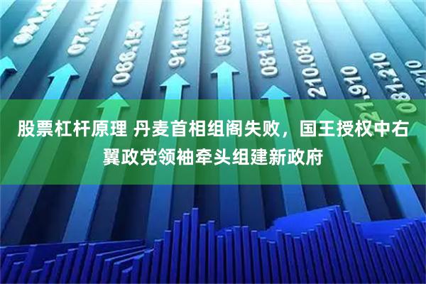 股票杠杆原理 丹麦首相组阁失败，国王授权中右翼政党领袖牵头组建新政府